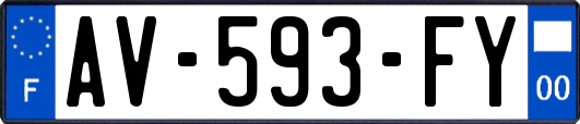 AV-593-FY