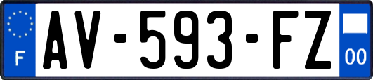 AV-593-FZ