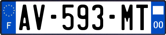 AV-593-MT