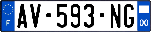 AV-593-NG