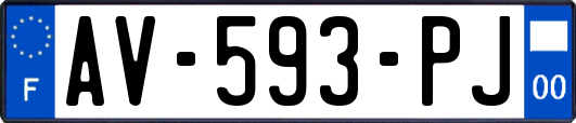 AV-593-PJ