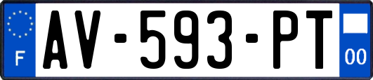 AV-593-PT