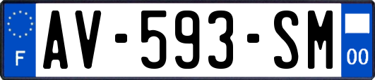 AV-593-SM