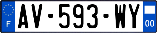 AV-593-WY