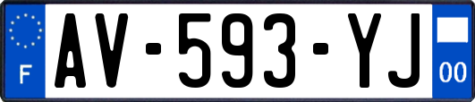 AV-593-YJ