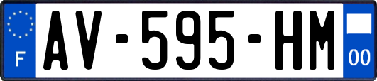 AV-595-HM