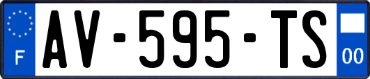 AV-595-TS