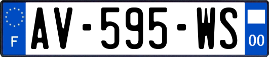 AV-595-WS