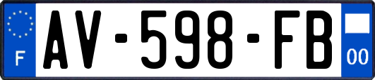 AV-598-FB