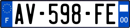 AV-598-FE