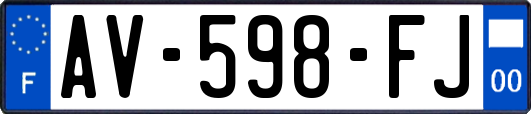 AV-598-FJ
