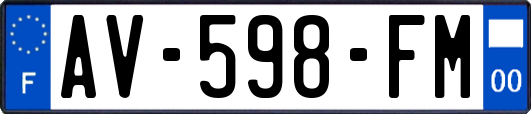 AV-598-FM