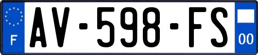 AV-598-FS