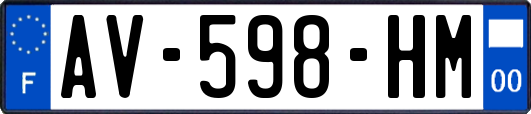 AV-598-HM