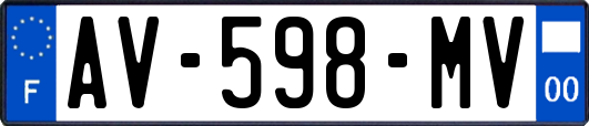 AV-598-MV