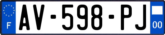AV-598-PJ