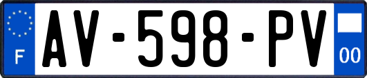 AV-598-PV