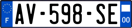 AV-598-SE