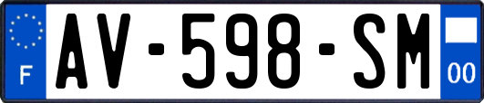 AV-598-SM