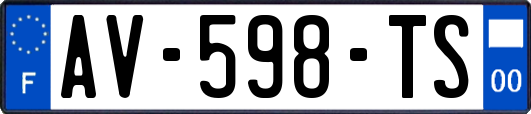 AV-598-TS