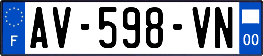 AV-598-VN