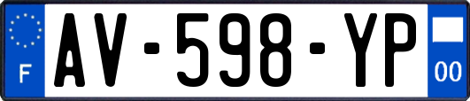 AV-598-YP