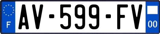 AV-599-FV
