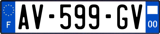 AV-599-GV
