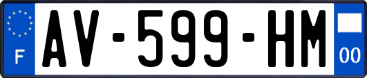 AV-599-HM