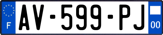 AV-599-PJ
