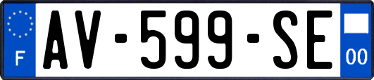 AV-599-SE