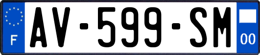 AV-599-SM
