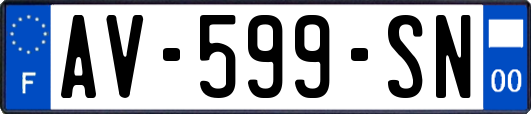 AV-599-SN
