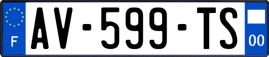 AV-599-TS