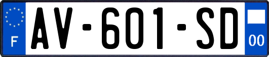 AV-601-SD
