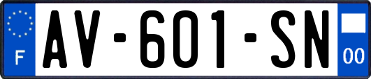 AV-601-SN