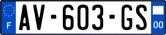 AV-603-GS