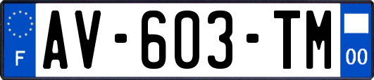 AV-603-TM