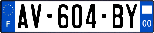 AV-604-BY