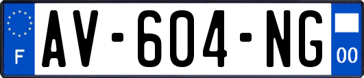 AV-604-NG
