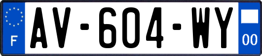 AV-604-WY