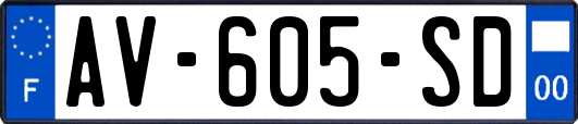 AV-605-SD