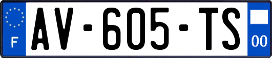AV-605-TS