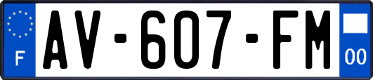AV-607-FM