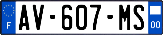 AV-607-MS