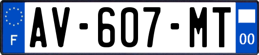 AV-607-MT