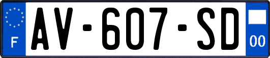AV-607-SD
