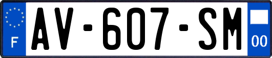 AV-607-SM