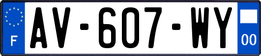 AV-607-WY