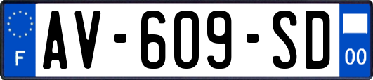 AV-609-SD